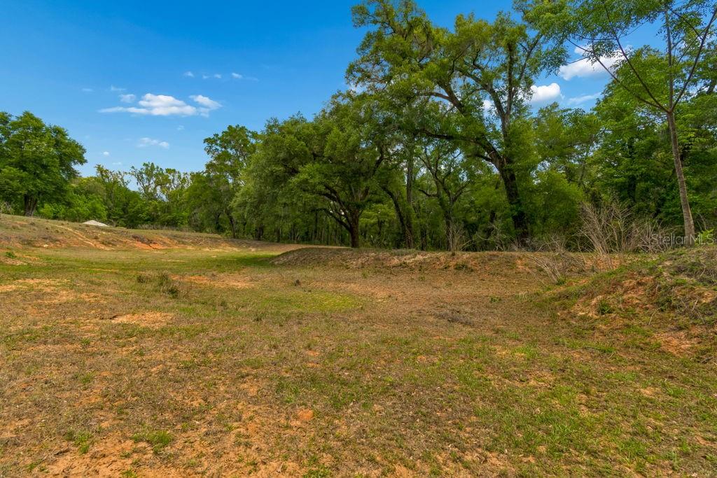 31501 REED RD, DADE CITY, FL, 33523