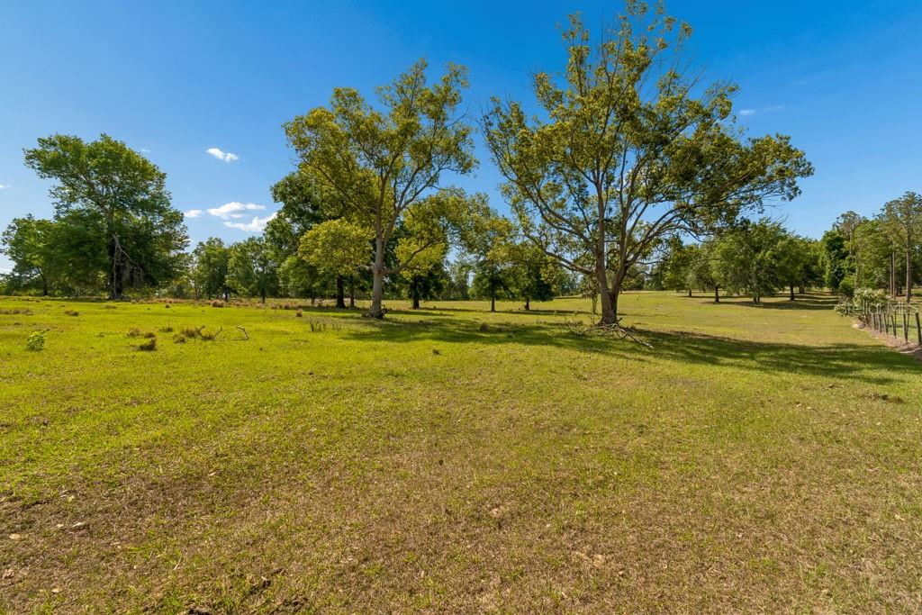 31501 REED RD, DADE CITY, FL, 33523