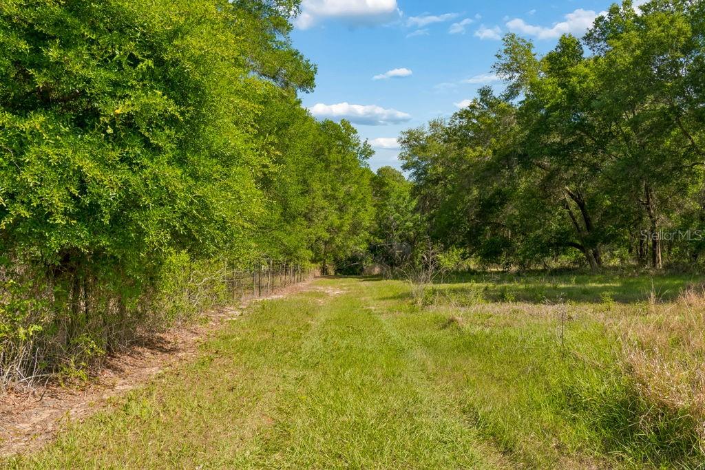 31501 REED RD, DADE CITY, FL, 33523