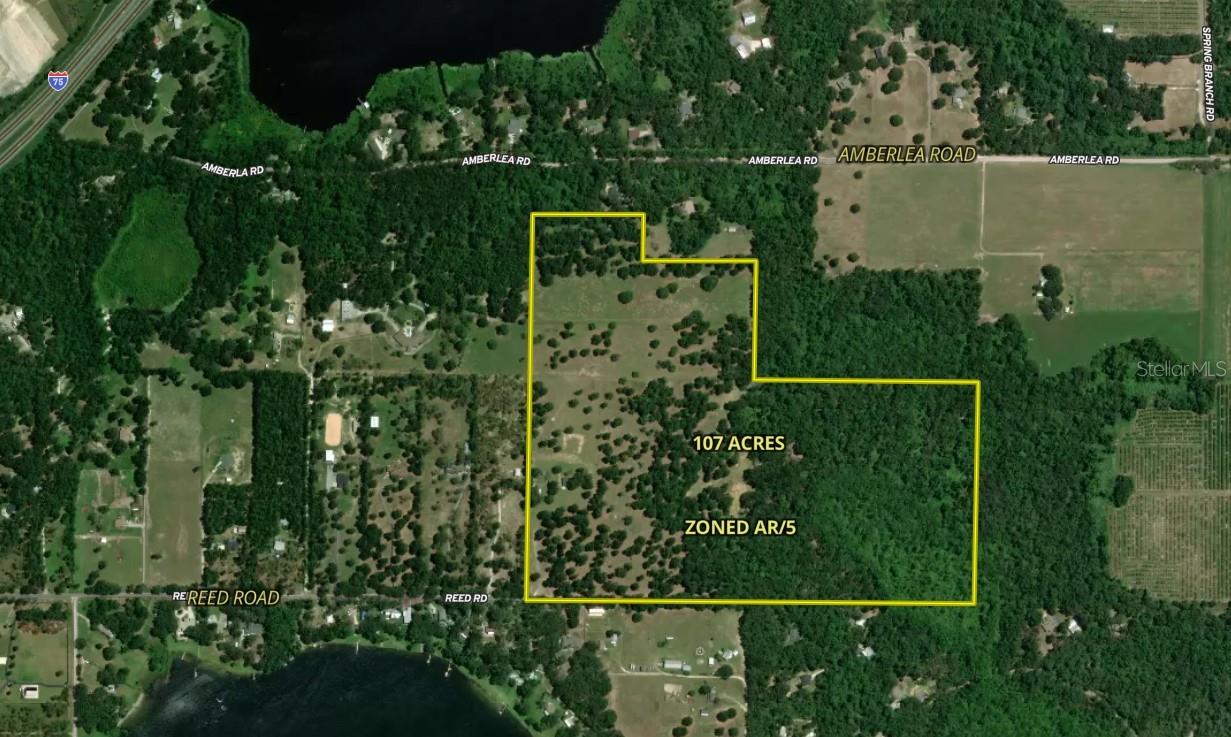 31501 REED RD, DADE CITY, FL, 33523