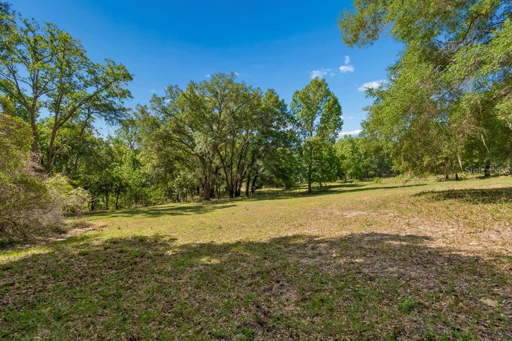 31501 REED RD, DADE CITY, FL, 33523