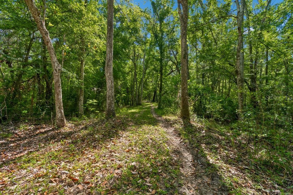 31501 REED RD, DADE CITY, FL, 33523