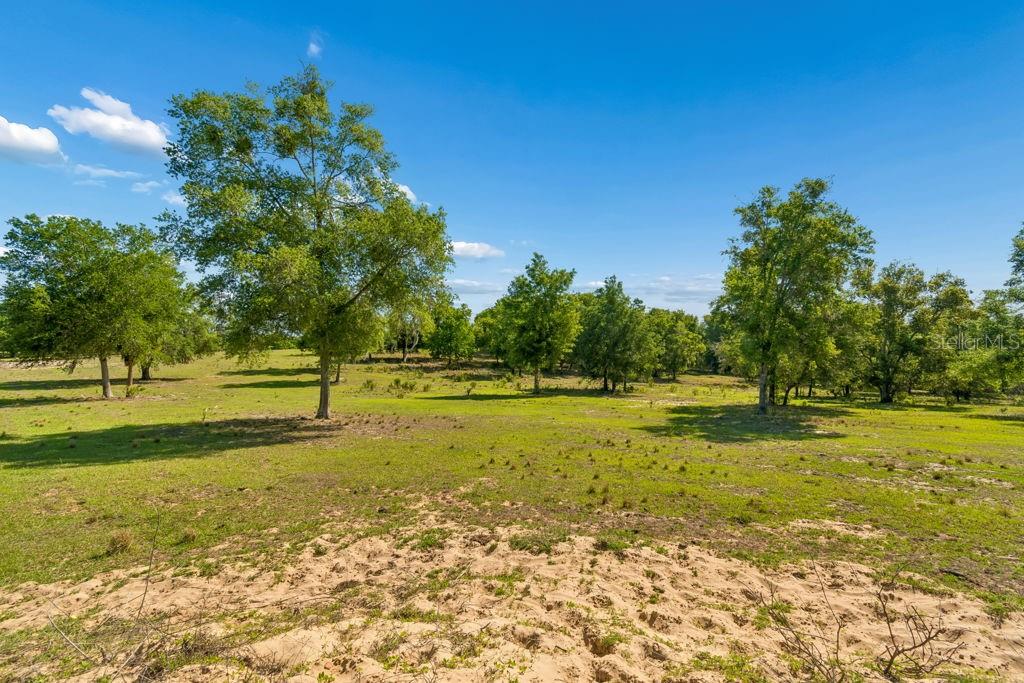 31501 REED RD, DADE CITY, FL, 33523
