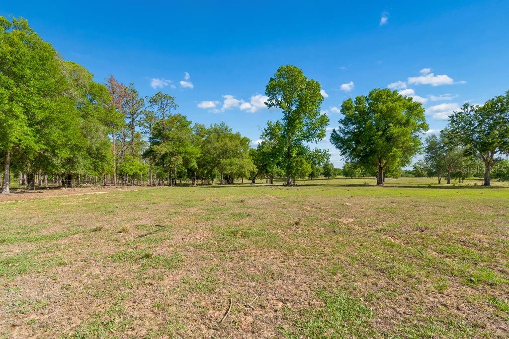 31501 REED RD, DADE CITY, FL, 33523
