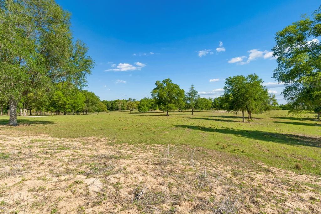 31501 REED RD, DADE CITY, FL, 33523