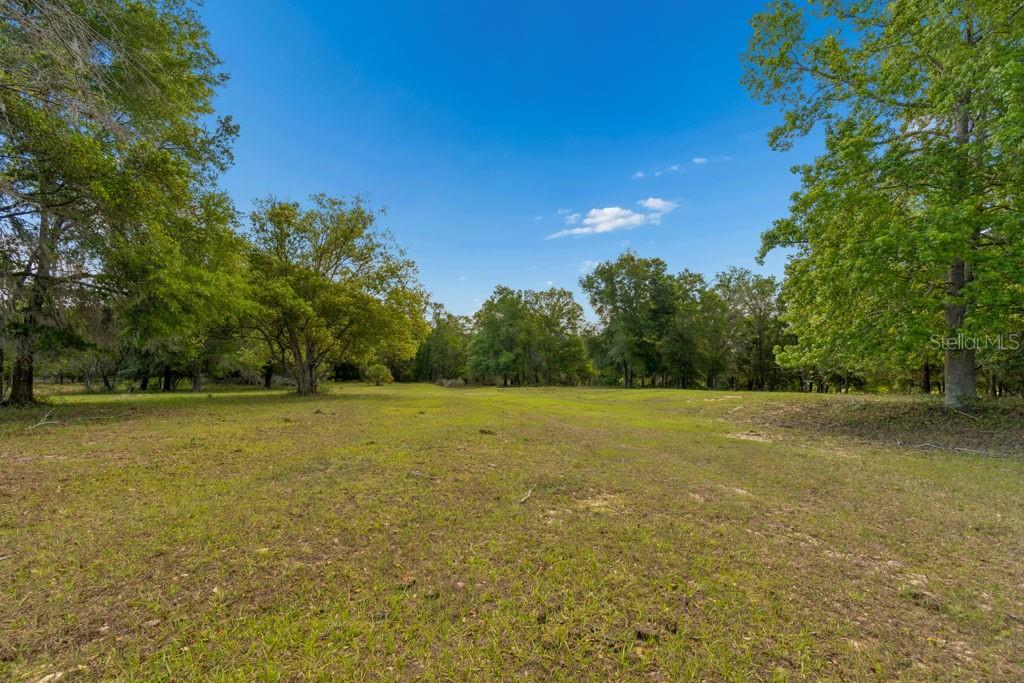 31501 REED RD, DADE CITY, FL, 33523