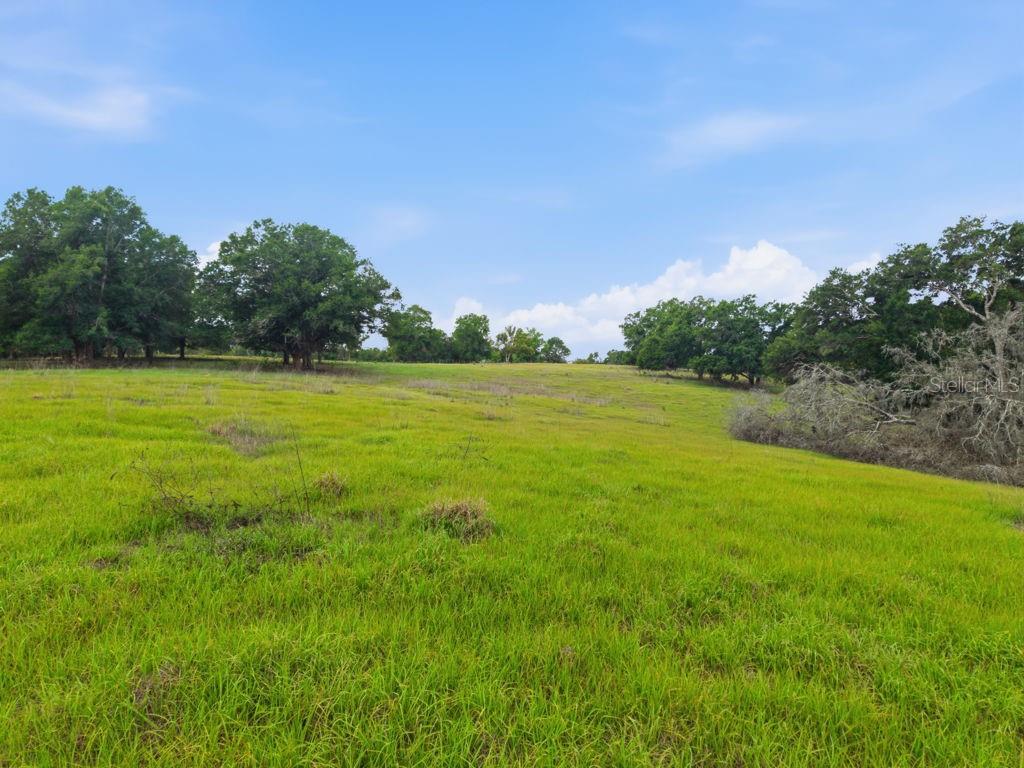 31501 REED RD, DADE CITY, FL, 33523