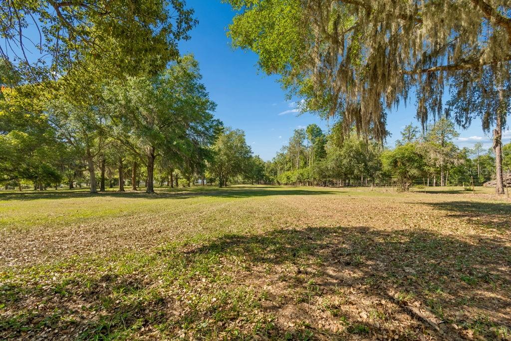 31501 REED RD, DADE CITY, FL, 33523