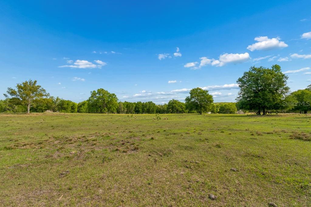 31501 REED RD, DADE CITY, FL, 33523