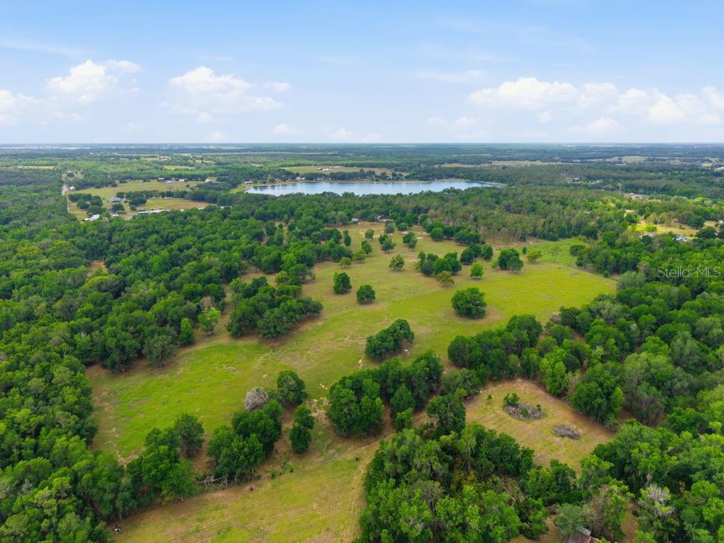 31501 REED RD, DADE CITY, FL, 33523