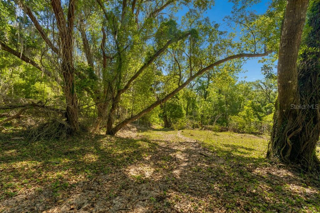 31501 REED RD, DADE CITY, FL, 33523
