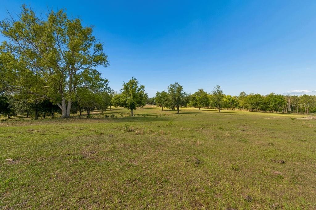 31501 REED RD, DADE CITY, FL, 33523