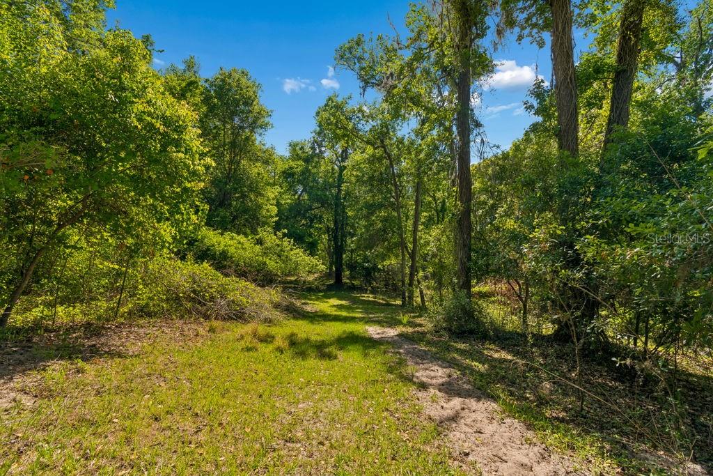 31501 REED RD, DADE CITY, FL, 33523