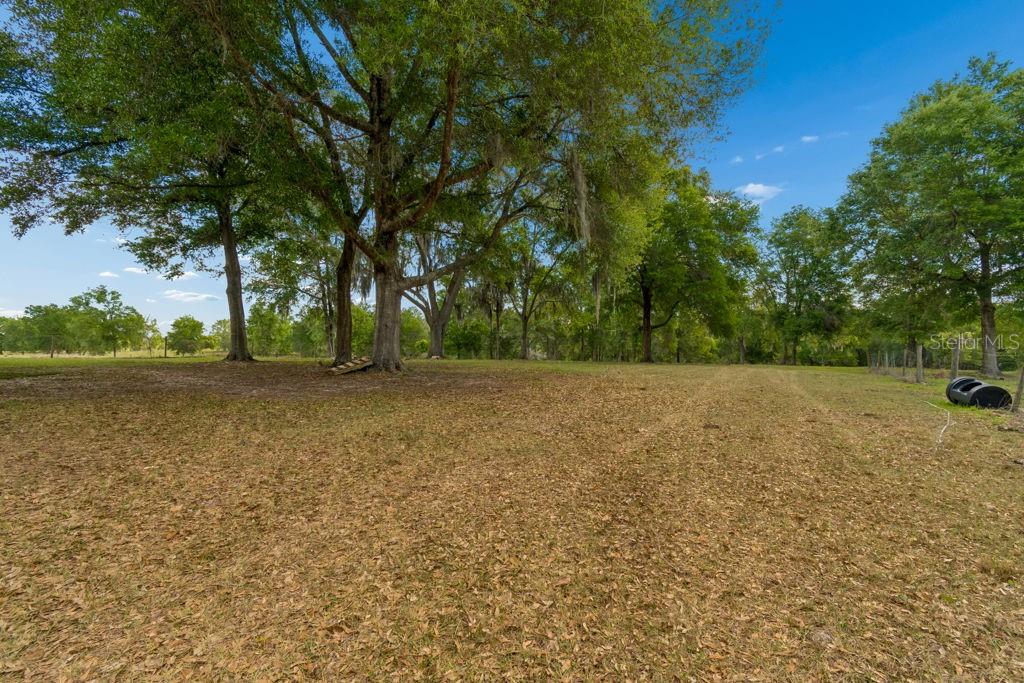 31501 REED RD, DADE CITY, FL, 33523