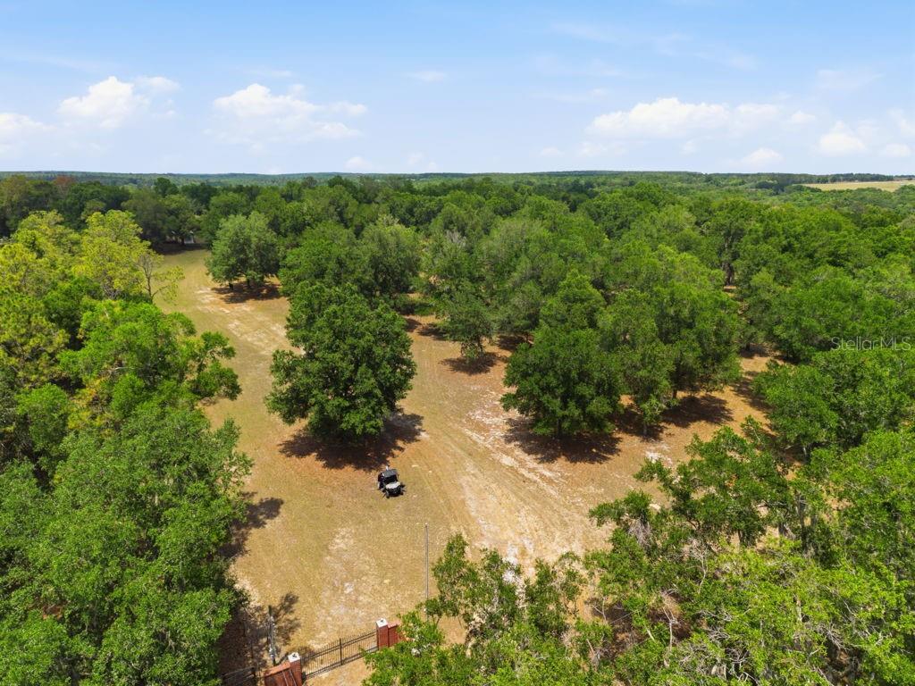31501 REED RD, DADE CITY, FL, 33523