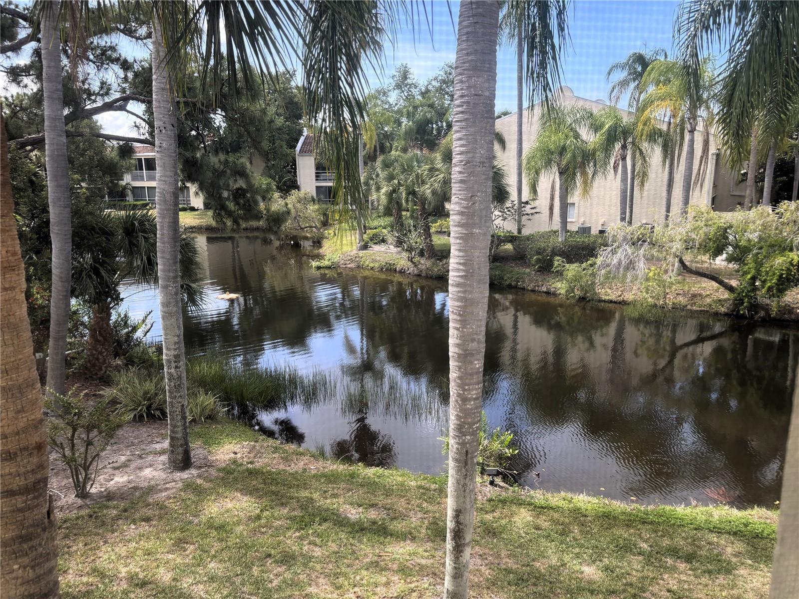 6101 34TH ST W #24C, BRADENTON, FL, 34210