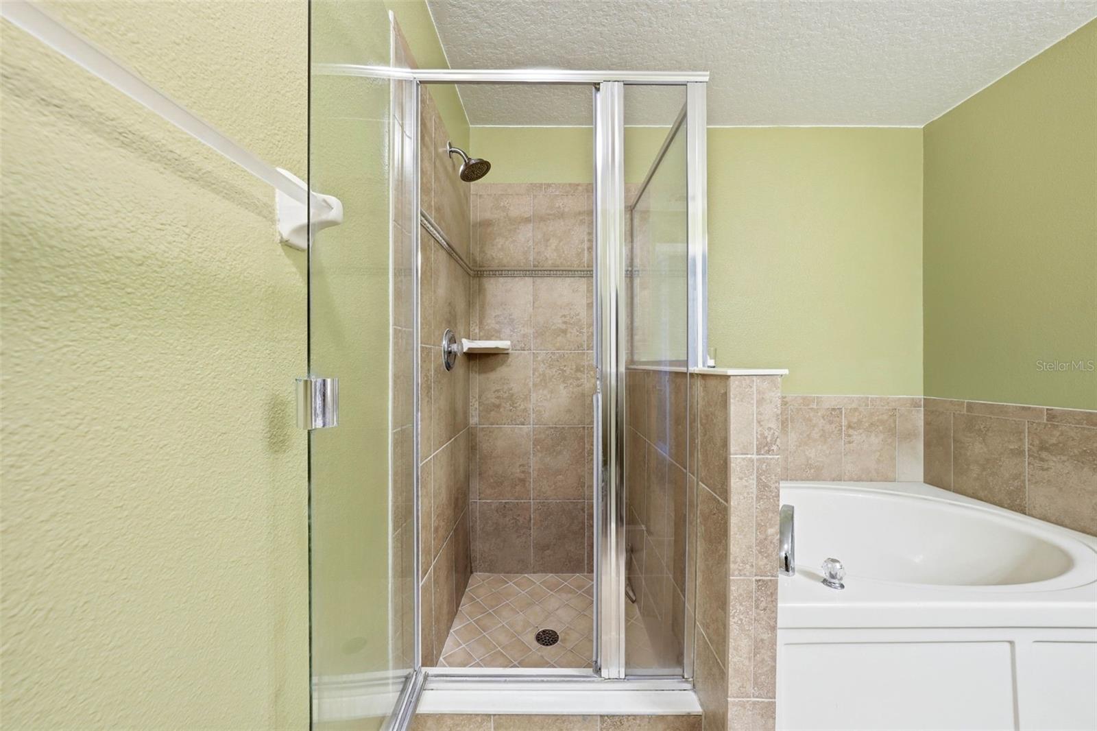 20831 SULLIVAN RANCH BLVD, MOUNT DORA, FL, 32757