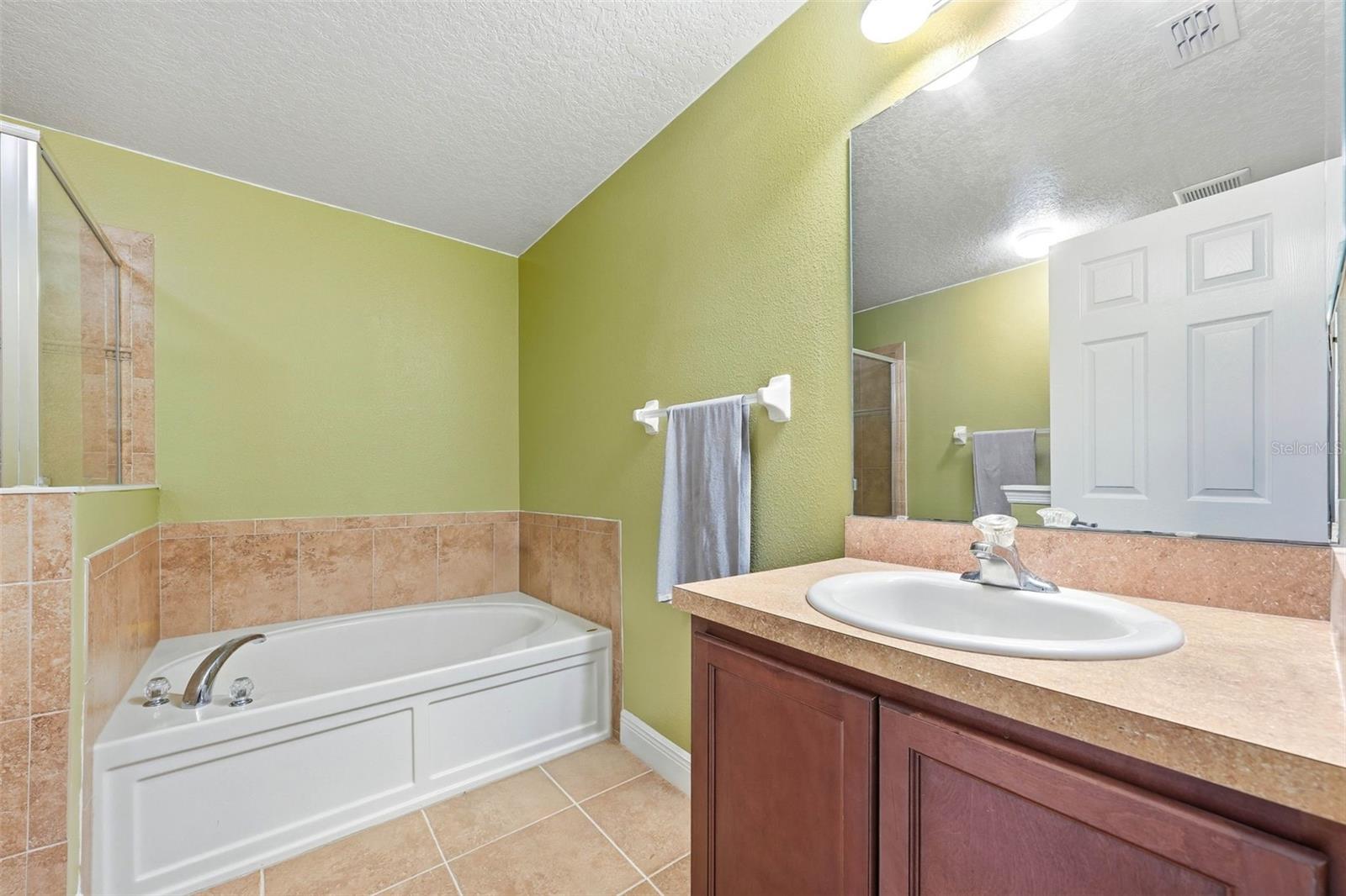 20831 SULLIVAN RANCH BLVD, MOUNT DORA, FL, 32757