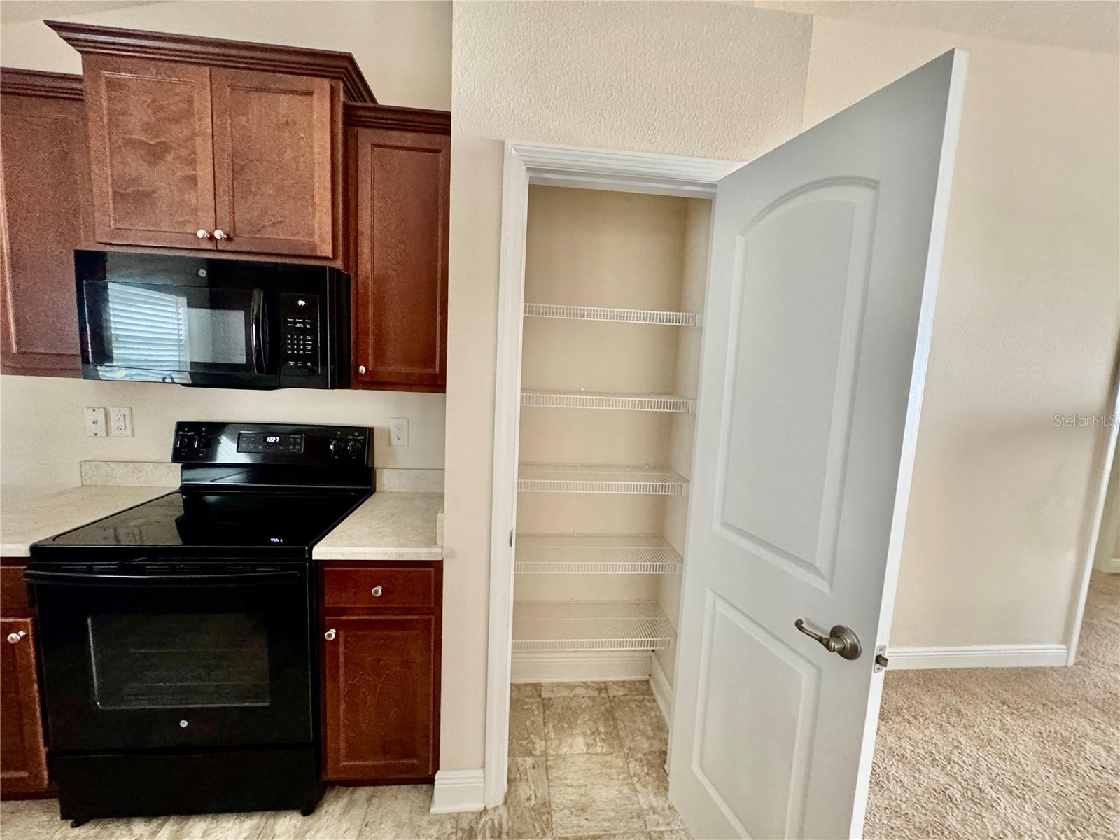 906 CHESTNUT DR, FRUITLAND PARK, FL, 34731