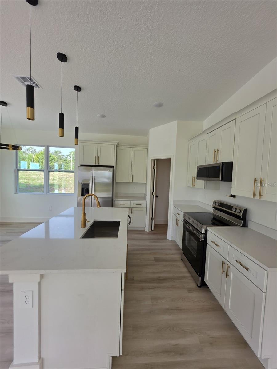 17951 SE 62 ST, MORRISTON, FL, 32668