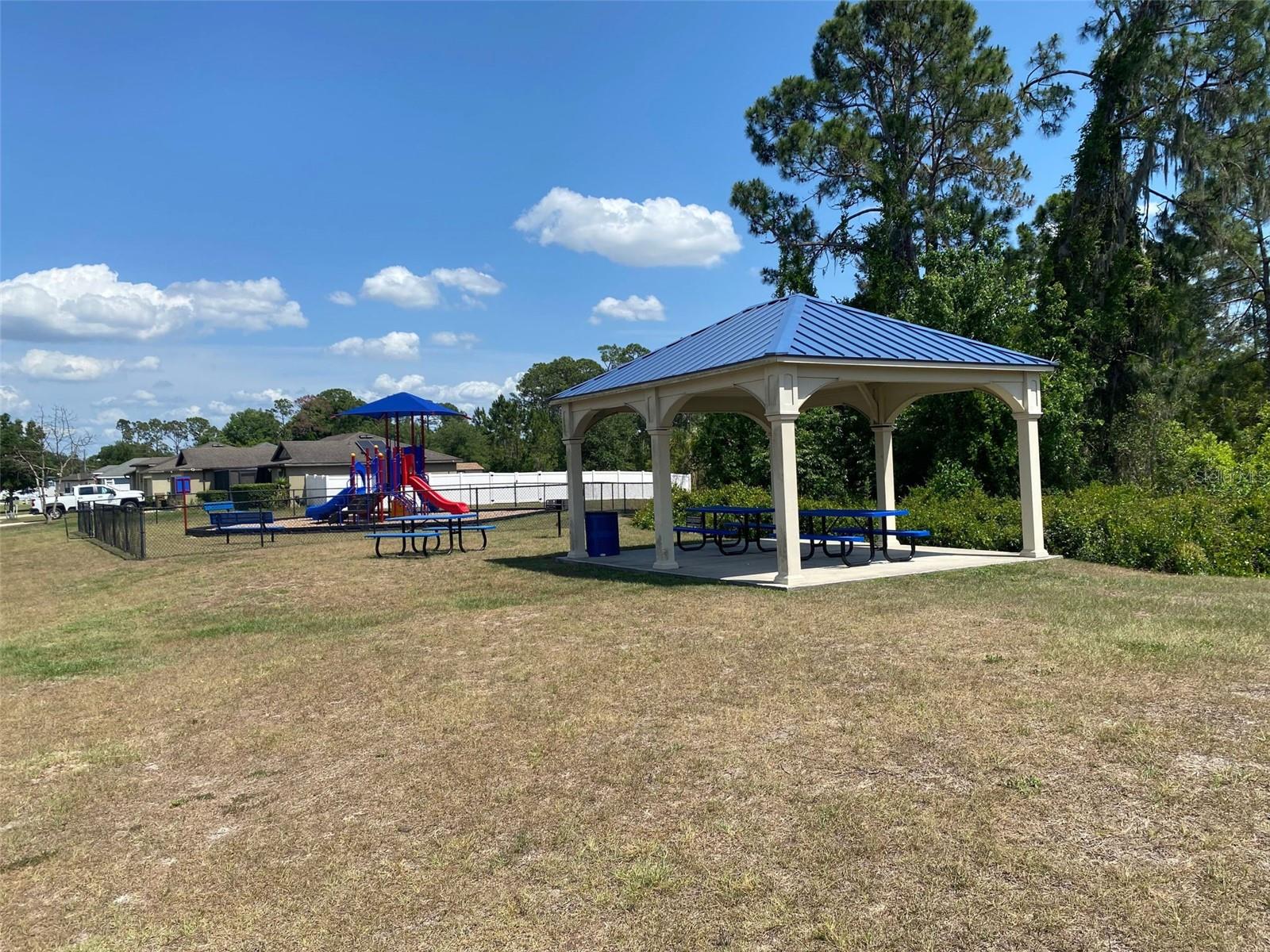 12067 CALLICARPA LN, LEESBURG, FL, 34788