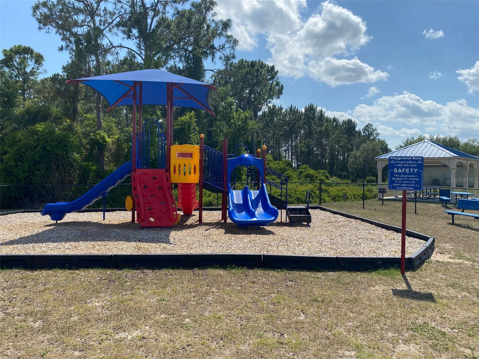 12067 CALLICARPA LN, LEESBURG, FL, 34788