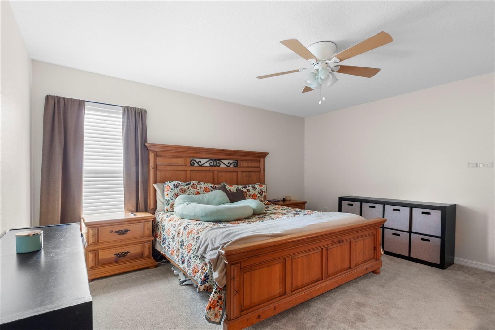 12067 CALLICARPA LN, LEESBURG, FL, 34788