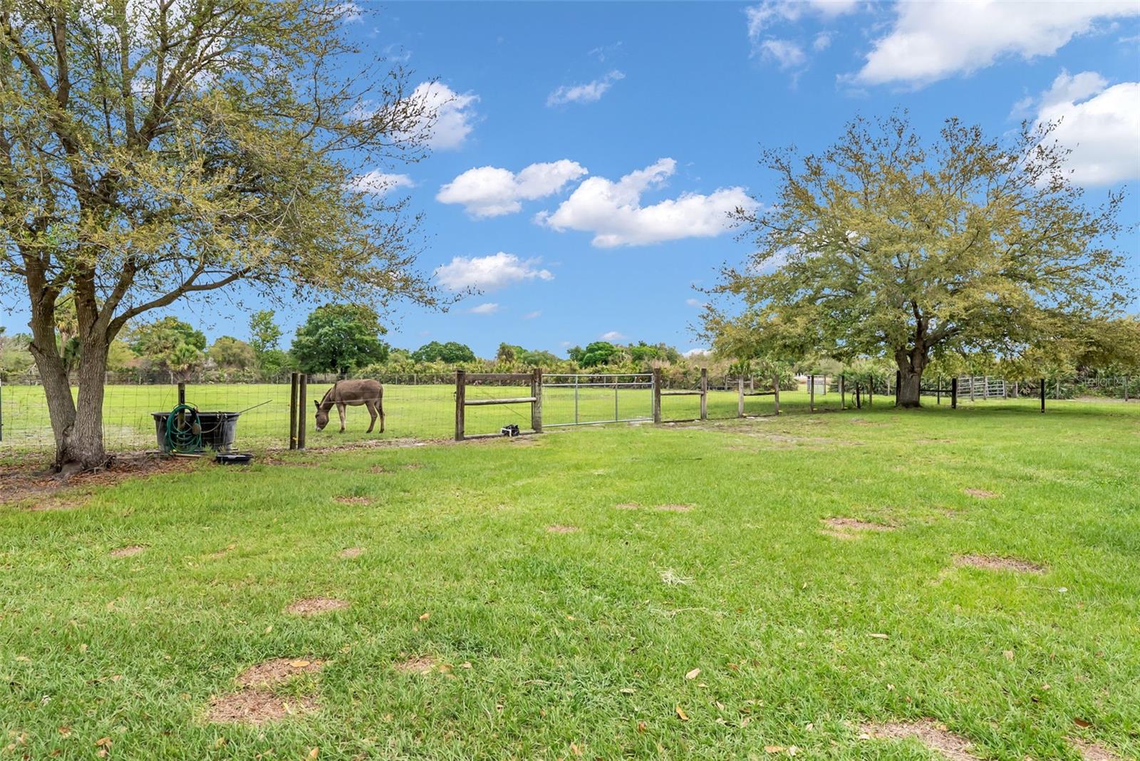 17255 NW 272ND ST, OKEECHOBEE, FL, 34972