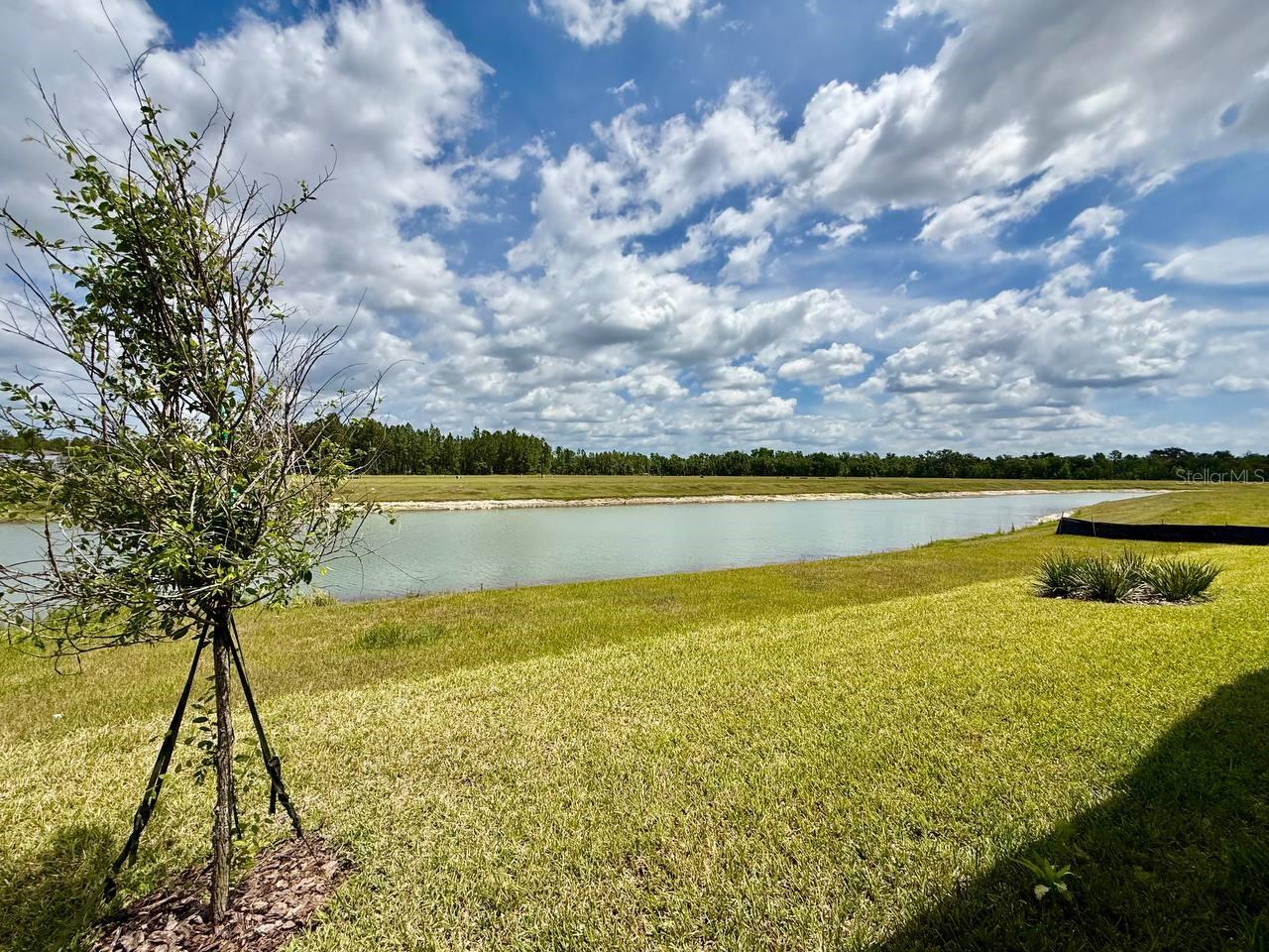 35609 STABLETON LN, ZEPHYRHILLS, FL, 33541