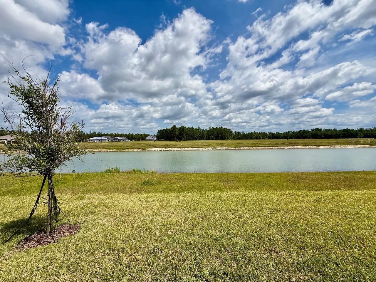 35609 STABLETON LN, ZEPHYRHILLS, FL, 33541