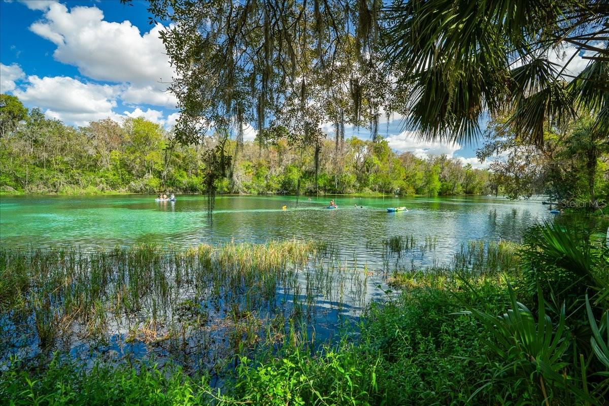 8859 SW 196TH AVENUE RD, DUNNELLON, FL, 34432