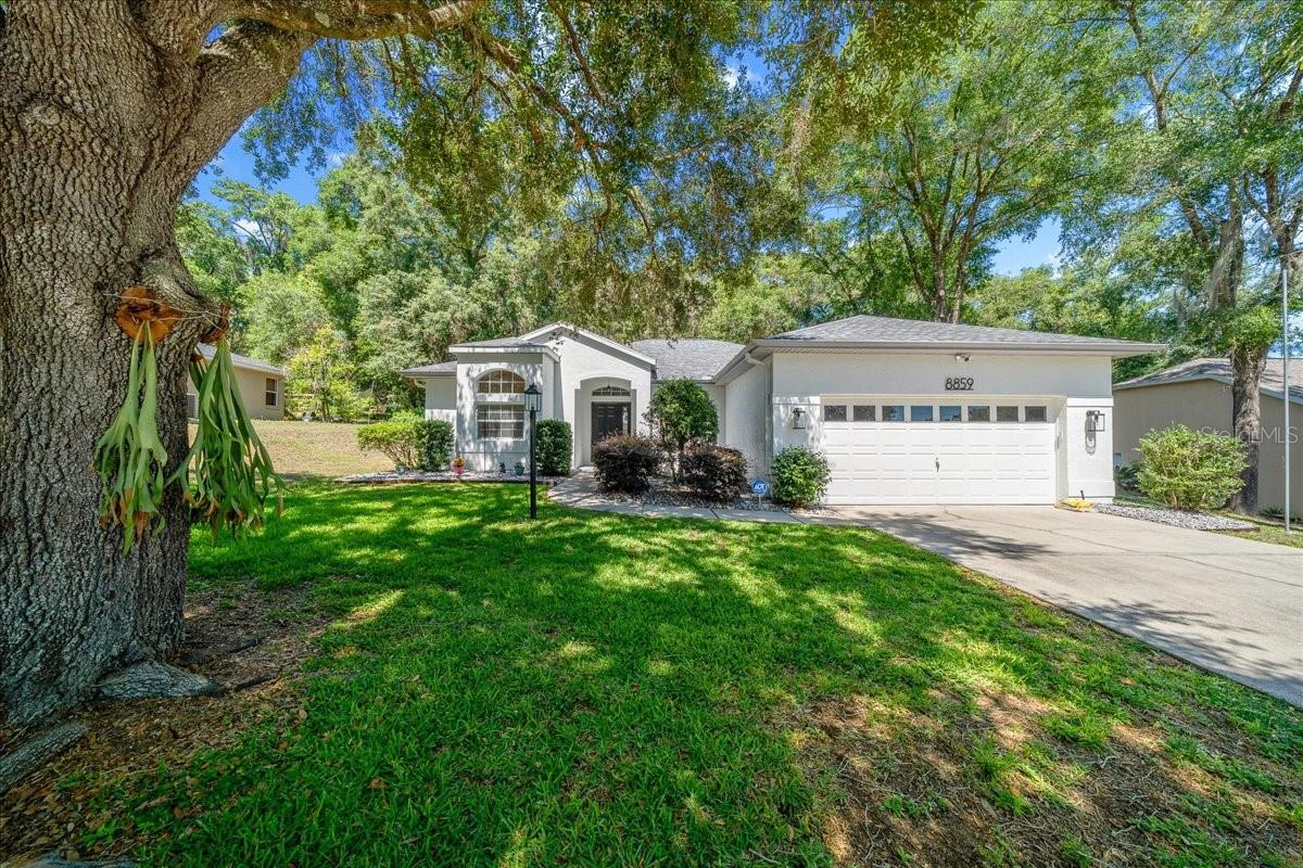 8859 SW 196TH AVENUE RD, DUNNELLON, FL, 34432