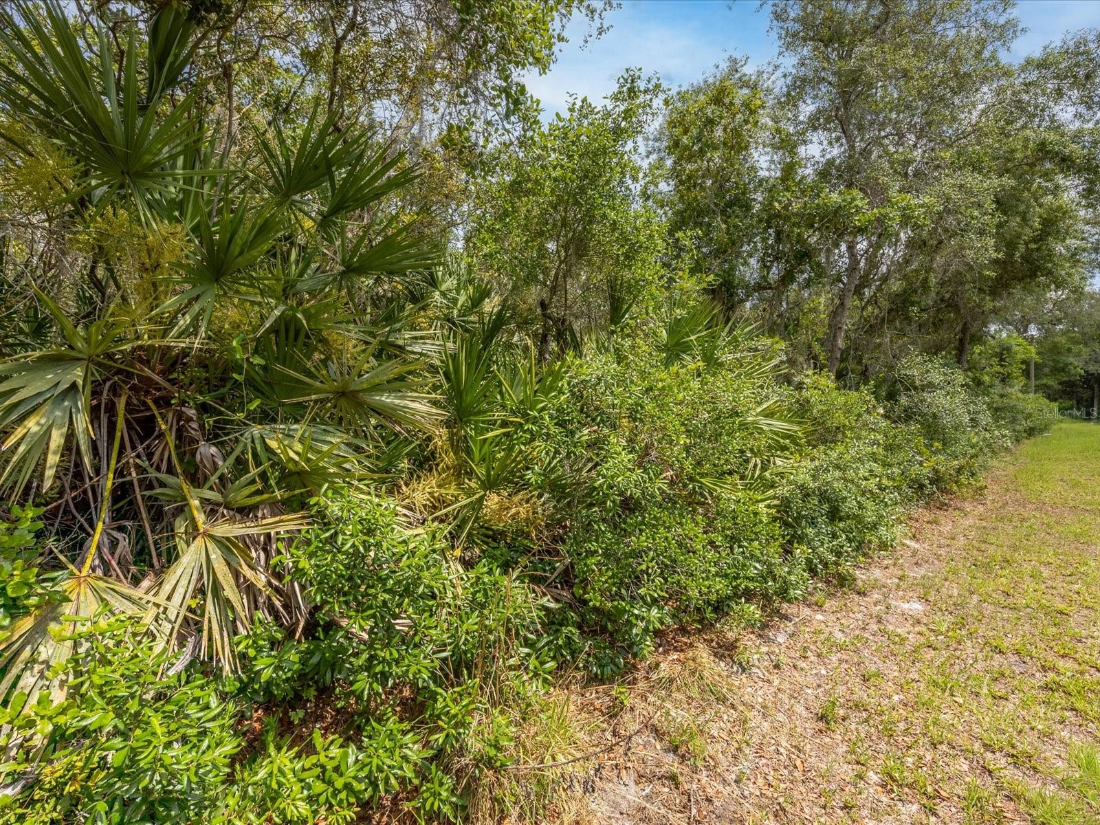 1385 5TH AVE, DELAND, FL, 32724