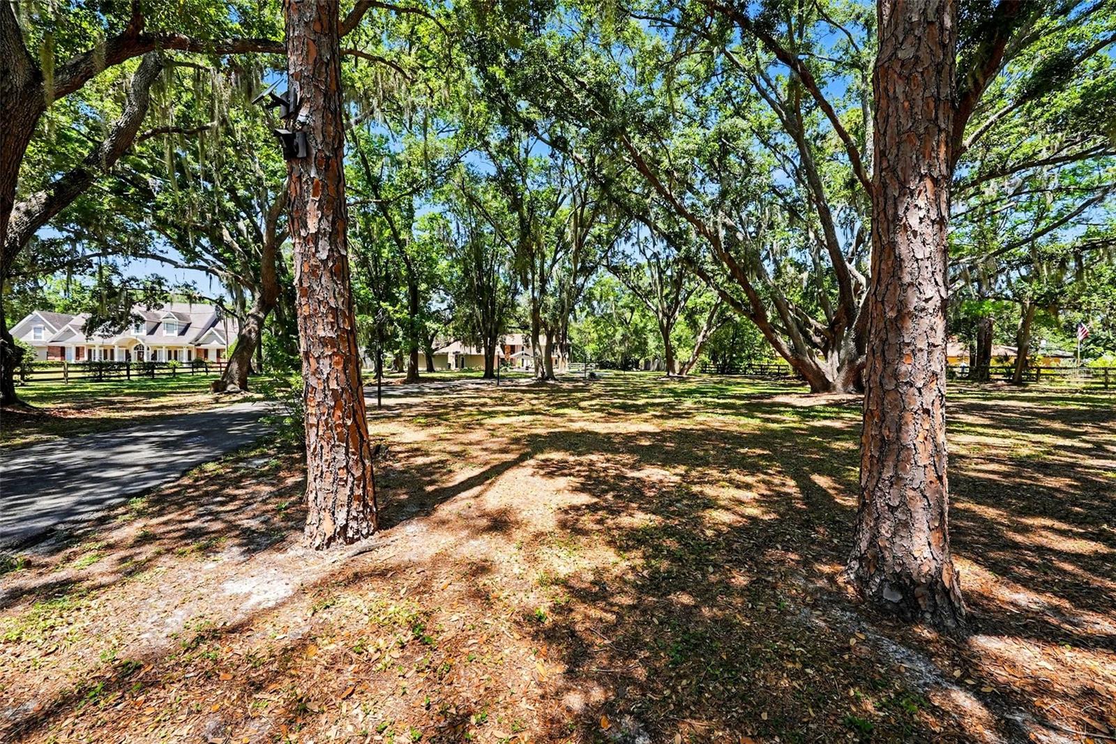 16502 OFFENHAUR RD, ODESSA, FL, 33556