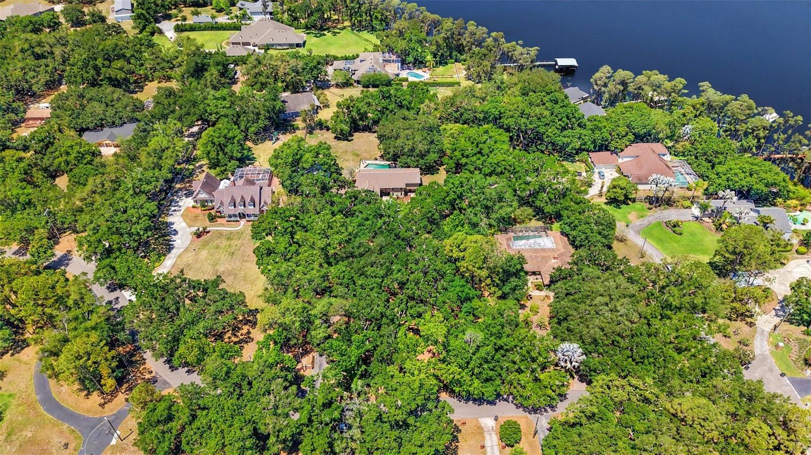 16502 OFFENHAUR RD, ODESSA, FL, 33556
