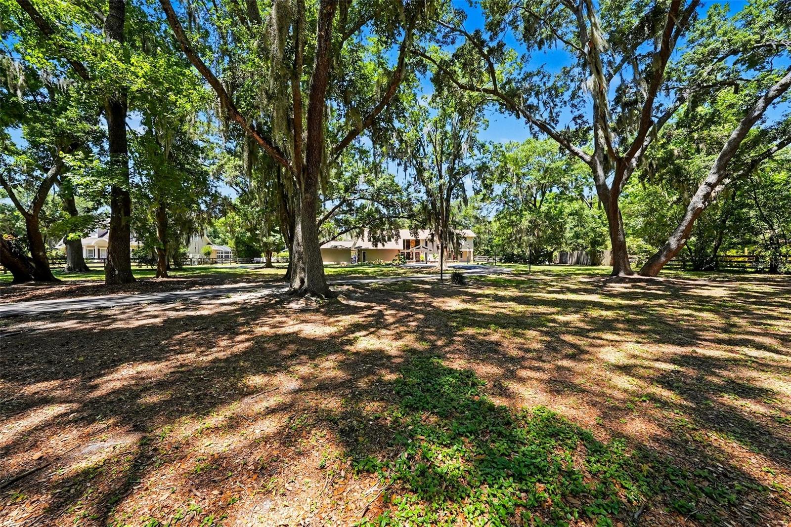 16502 OFFENHAUR RD, ODESSA, FL, 33556
