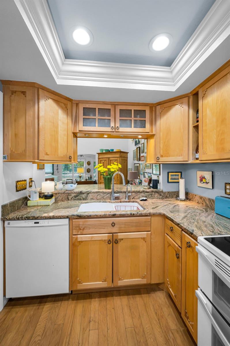 1720 CYPRESS TRACE DR, SAFETY HARBOR, FL, 34695