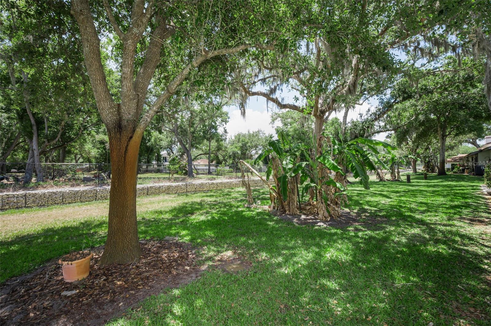 1720 CYPRESS TRACE DR, SAFETY HARBOR, FL, 34695