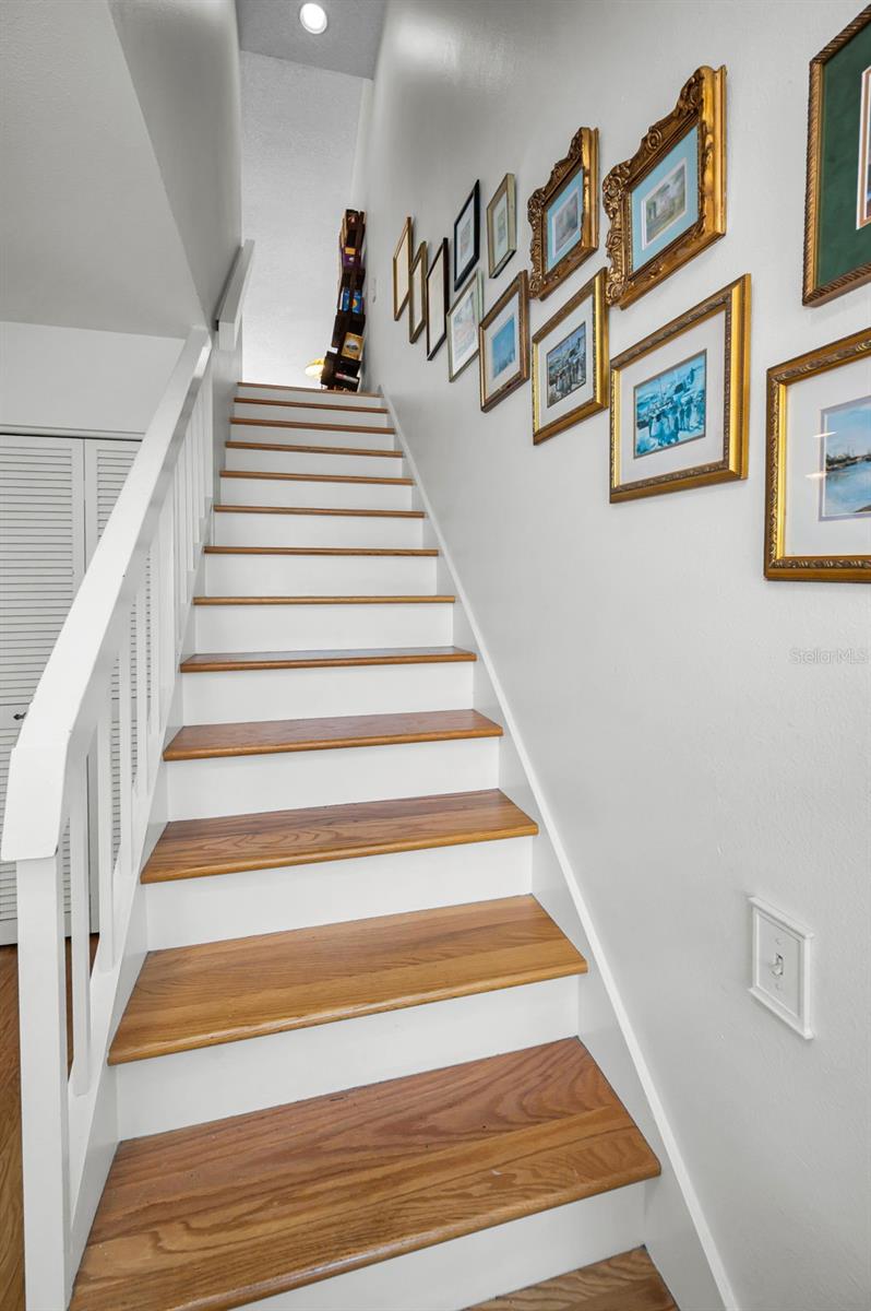1720 CYPRESS TRACE DR, SAFETY HARBOR, FL, 34695