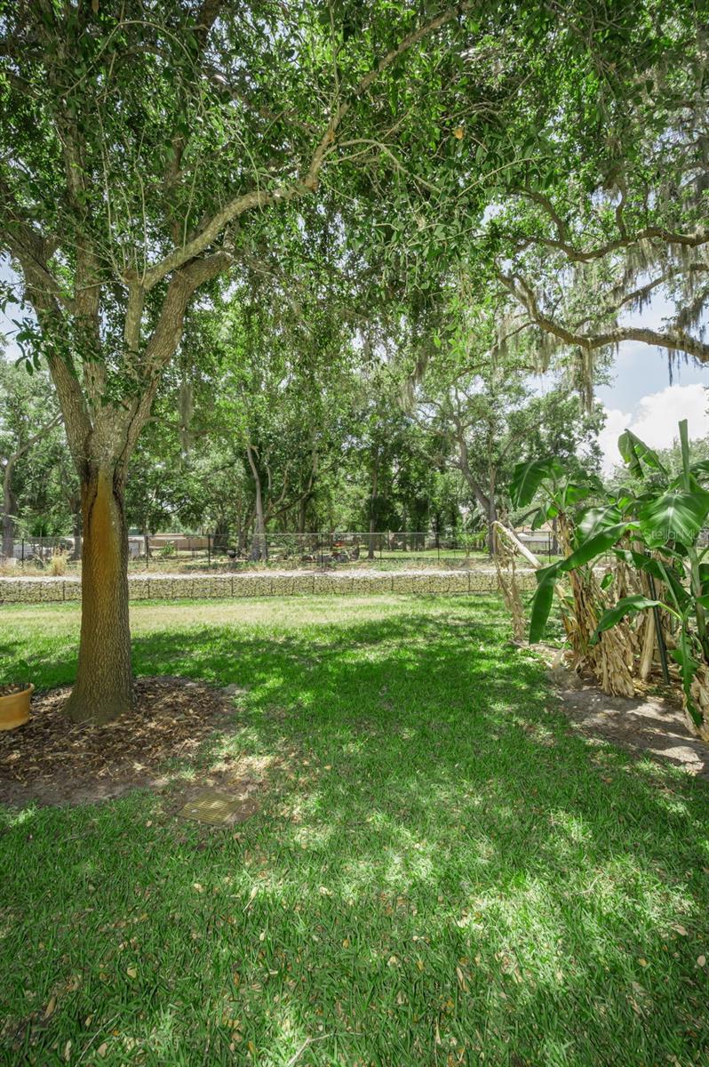 1720 CYPRESS TRACE DR, SAFETY HARBOR, FL, 34695