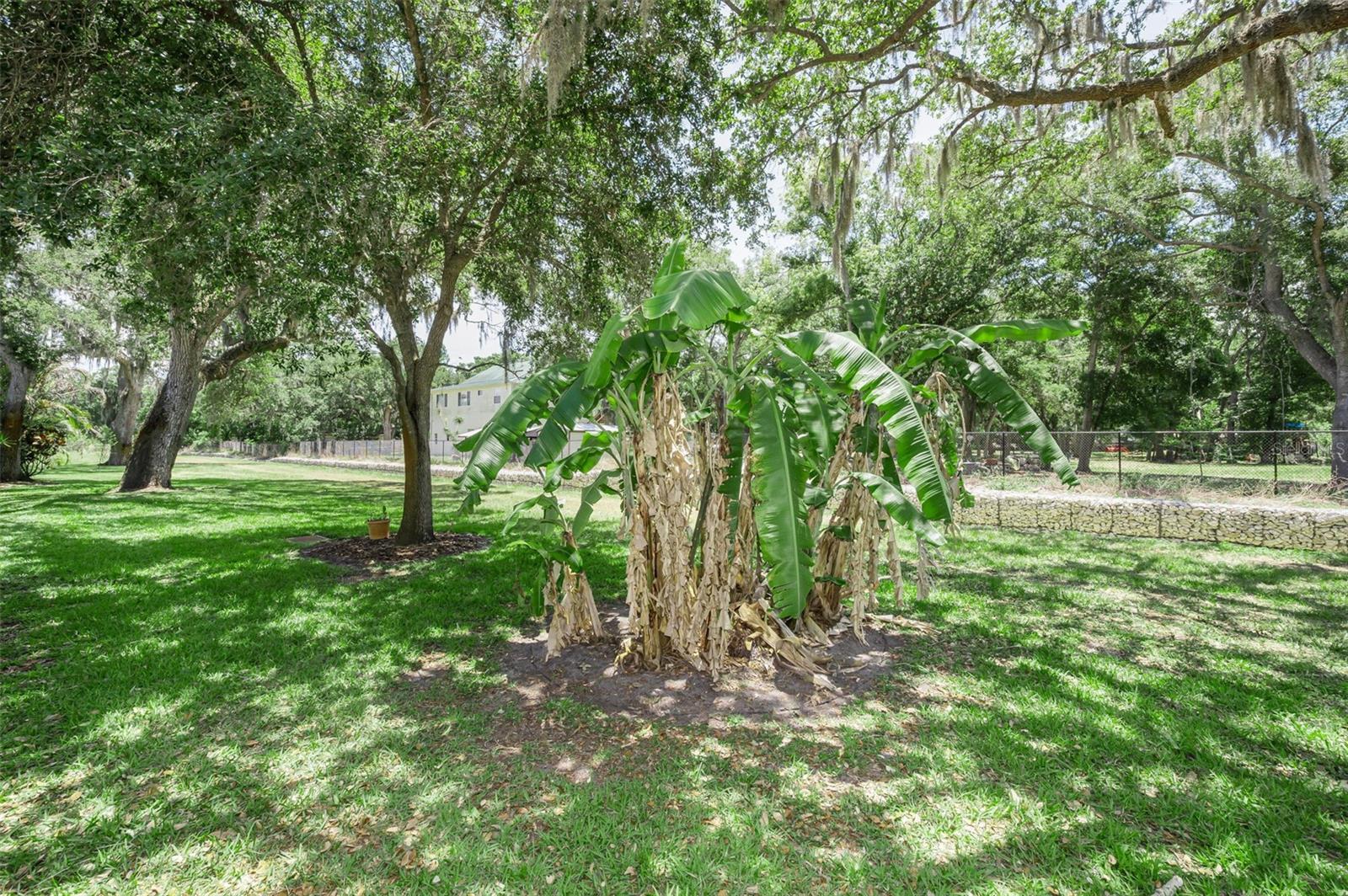 1720 CYPRESS TRACE DR, SAFETY HARBOR, FL, 34695