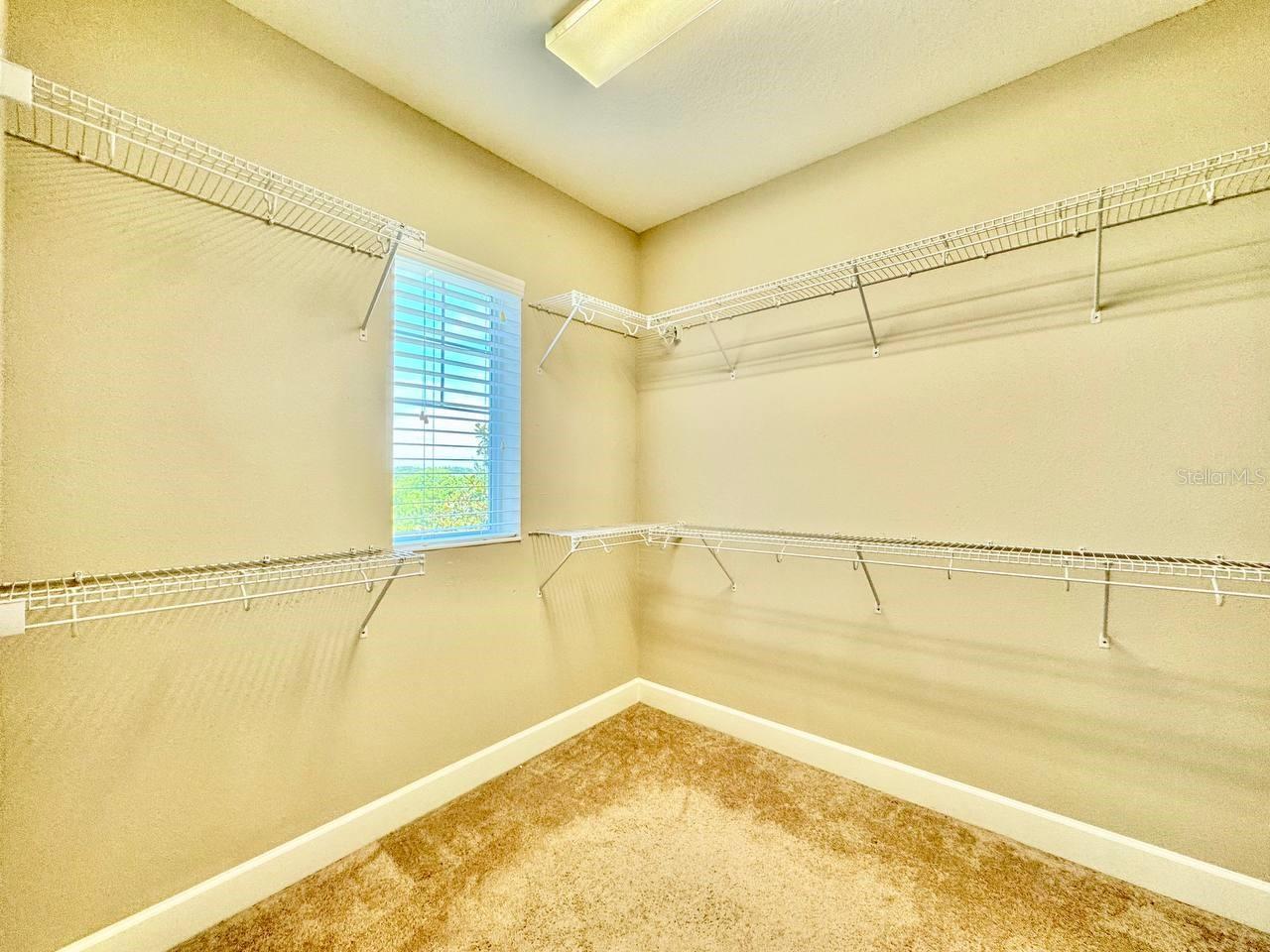 11127 WINTHROP LAKE DR, RIVERVIEW, FL, 33578