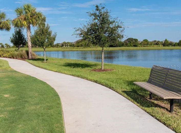 6196 HIDDEN BRANCH DR, APOLLO BEACH, FL, 33572
