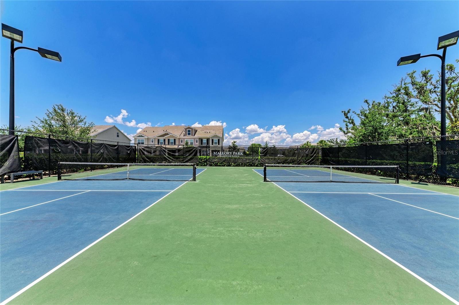 12151 CRANSTON WAY, LAKEWOOD RANCH, FL, 34211