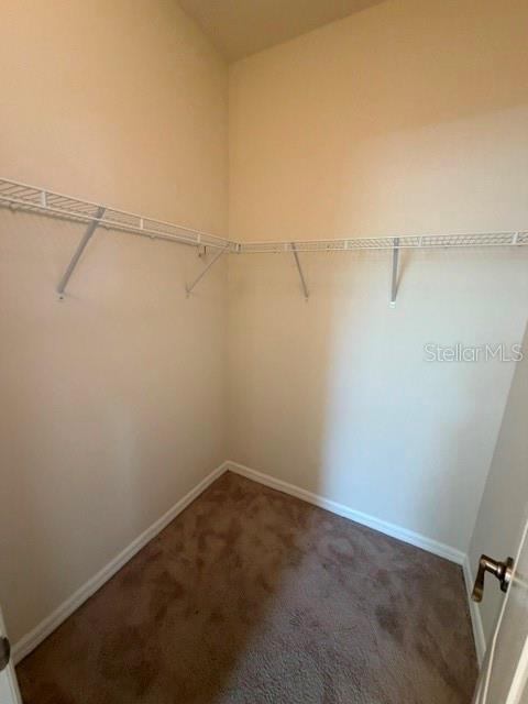 7001 INTERBAY BLVD #342, TAMPA, FL, 33616