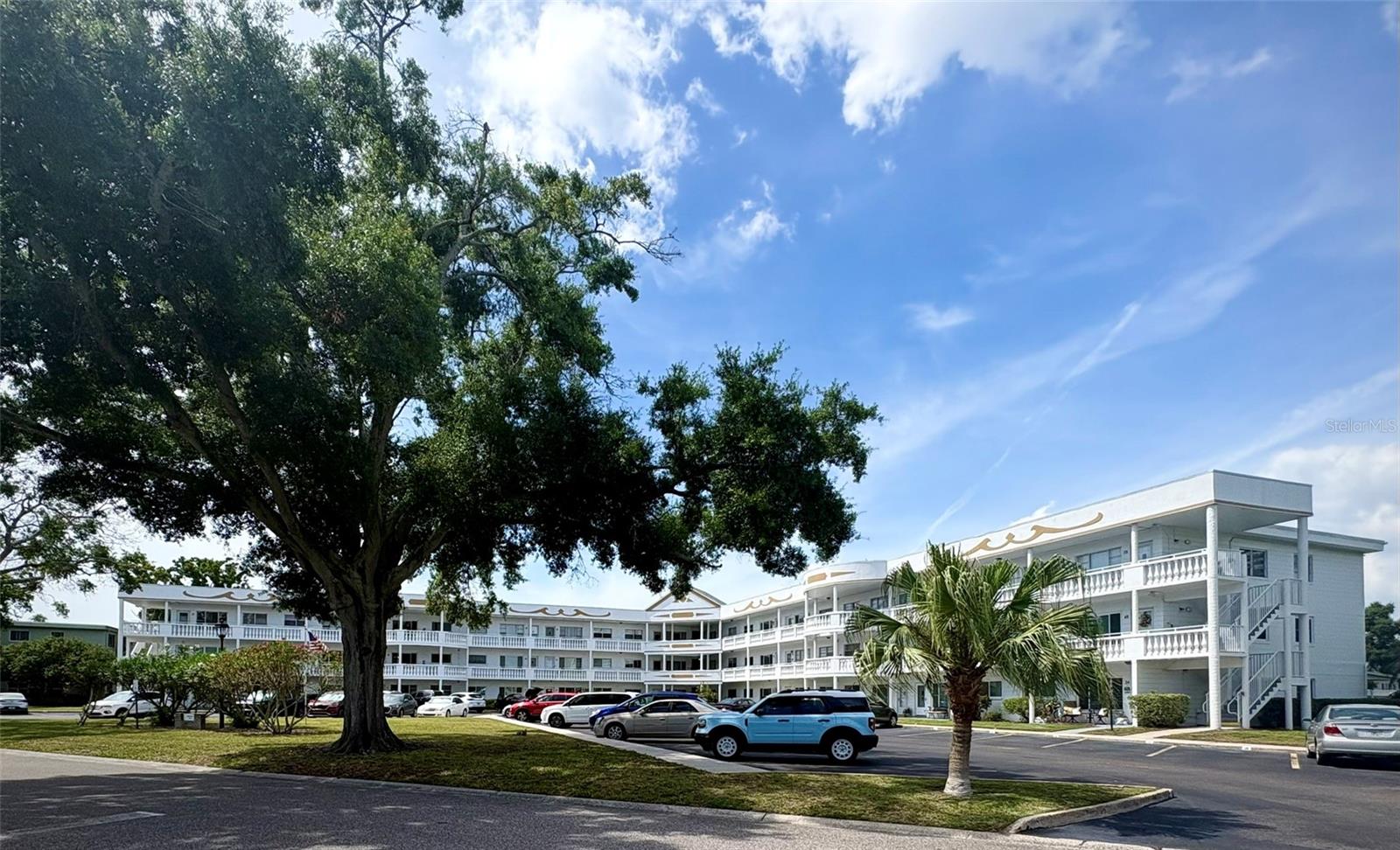 2428 COLUMBIA DR #36, CLEARWATER, FL, 33763