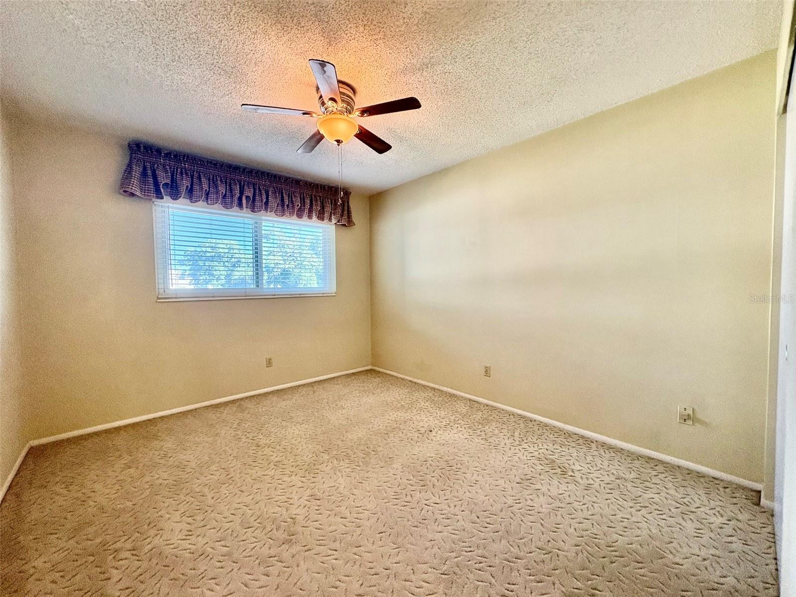 2428 COLUMBIA DR #36, CLEARWATER, FL, 33763