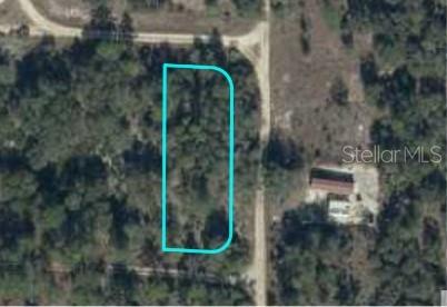 NE 134TH TERRACE, BRONSON, FL, 32621