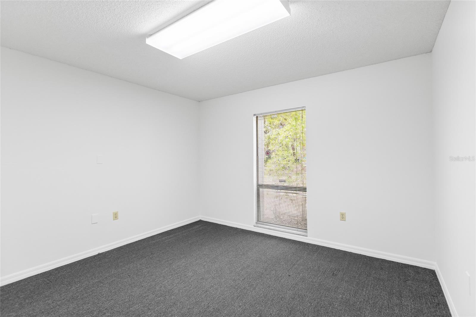 13308 WINDING OAK CT, TAMPA, FL, 33612