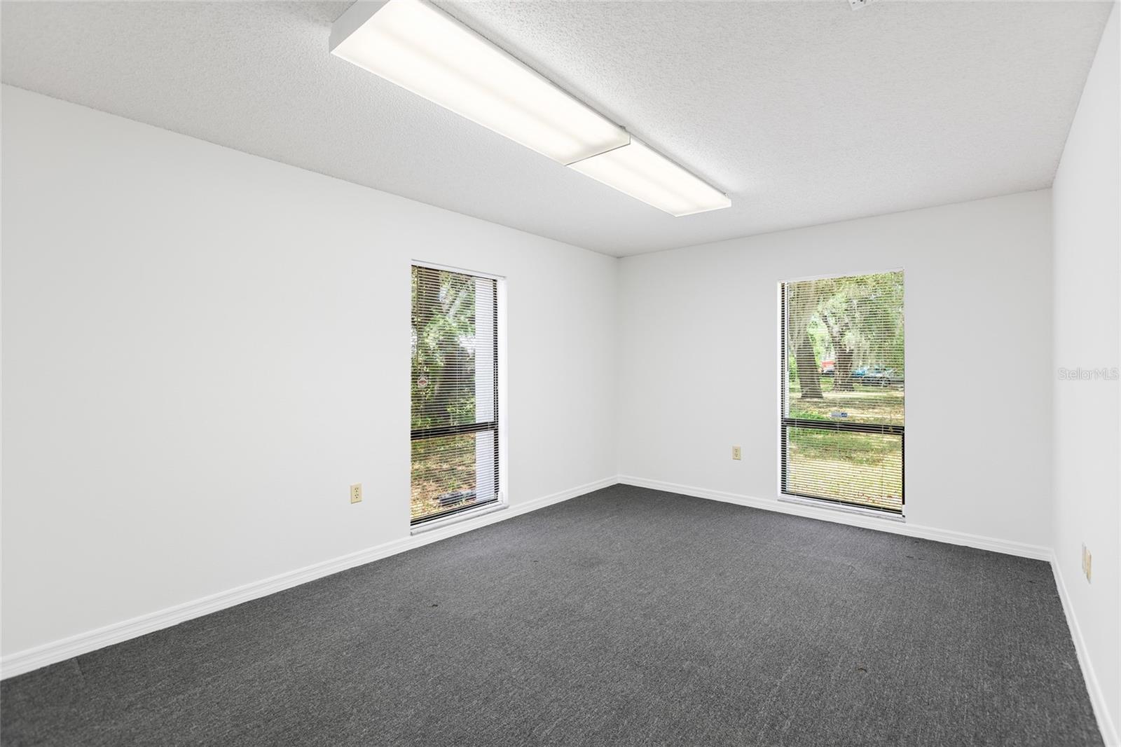 13308 WINDING OAK CT, TAMPA, FL, 33612